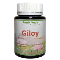 Giloy ghan, 90 tablets - 33 grams