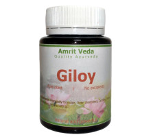 Giloy ghan, 90 tablets - 33 grams