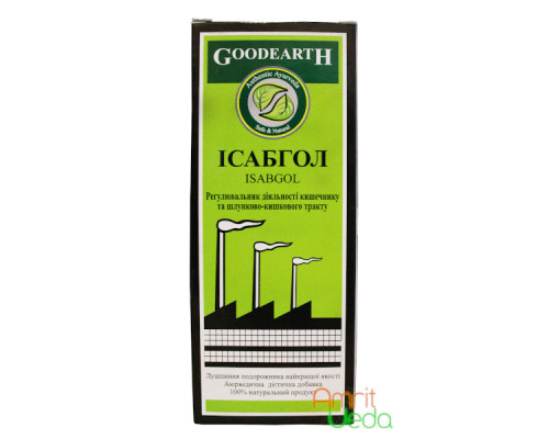 Isabgol GoodEarth, 100 grams