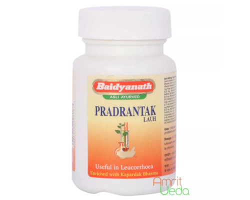 Pradarantak Lauh Baidyanath, 40 tablets