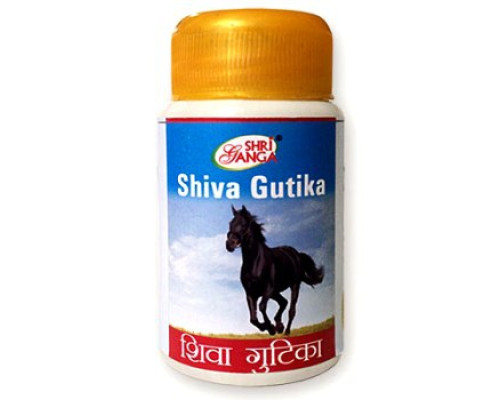 Shiva gutika Shri Ganga, 100 tablets - 50 grams - 50 grams